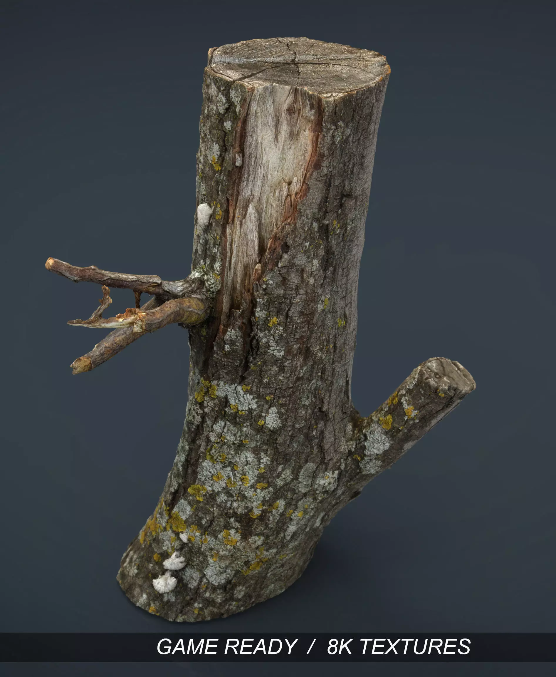 Wood Log 3 Low-poly 3D model_0