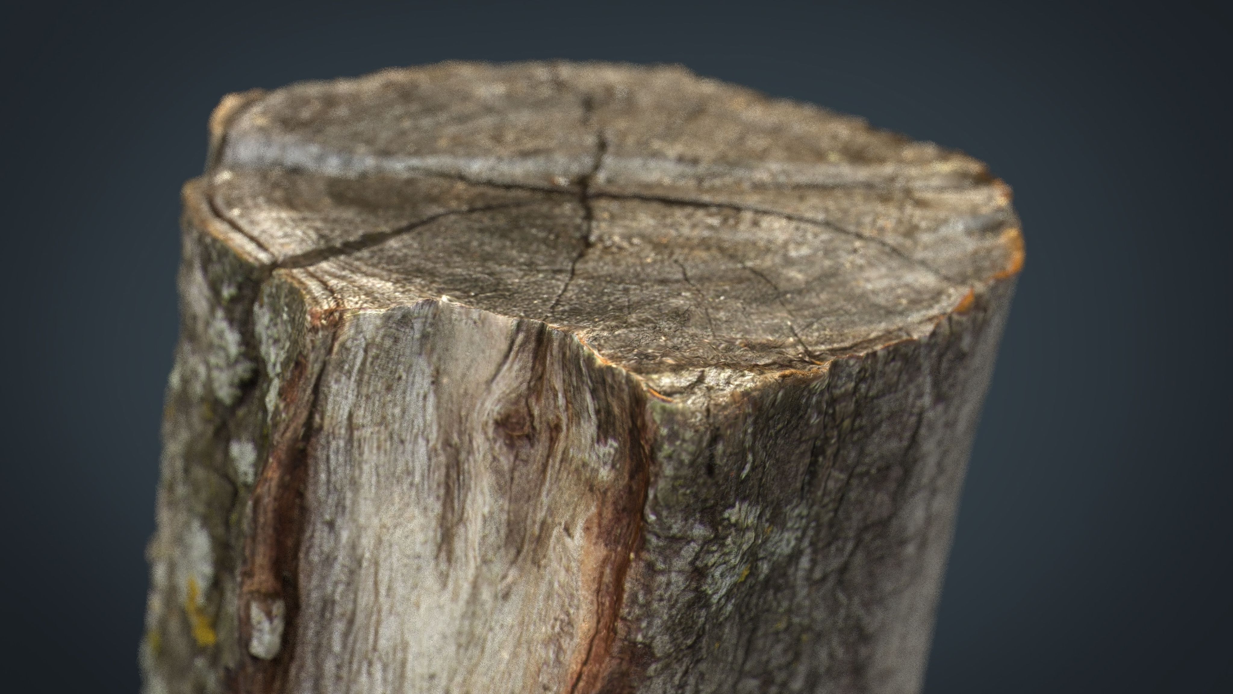Wood Log 3 Low-poly 3D model_5