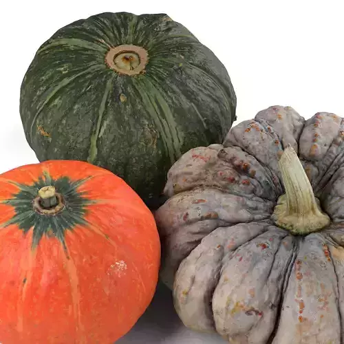Pumpkin Bundle - Photorealistic  Scan Low-poly 3D model