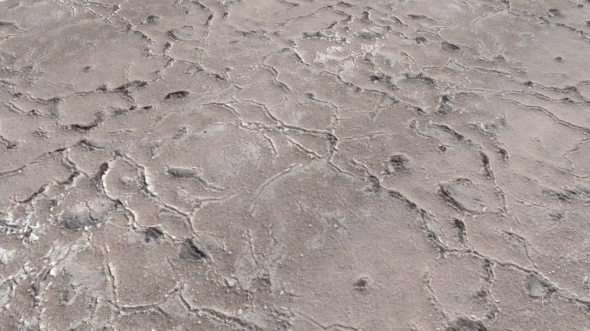 Desert Wasteland Ground PBR pack 11 Texture_0