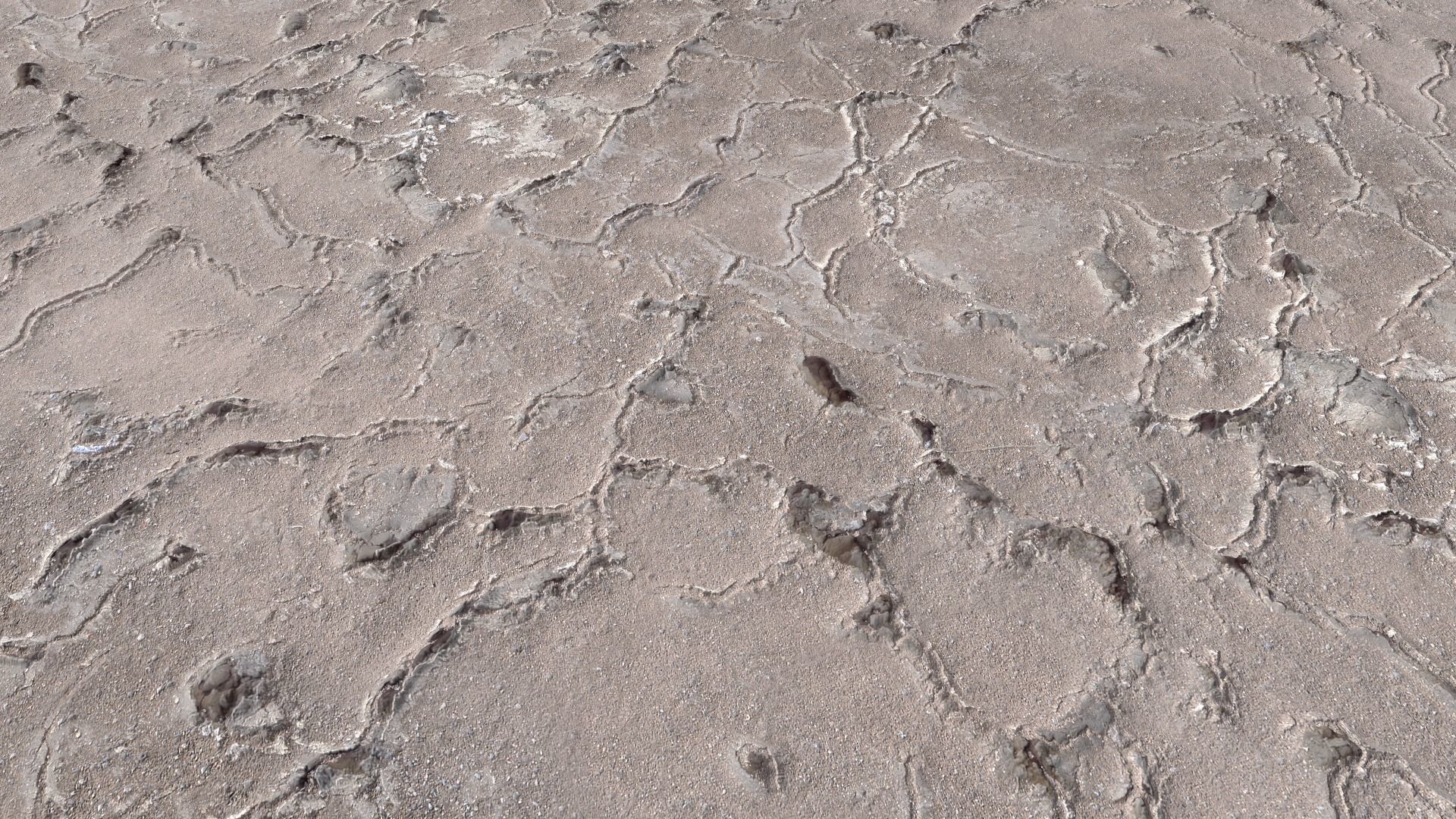 Desert Wasteland Ground PBR pack 11 Texture_7