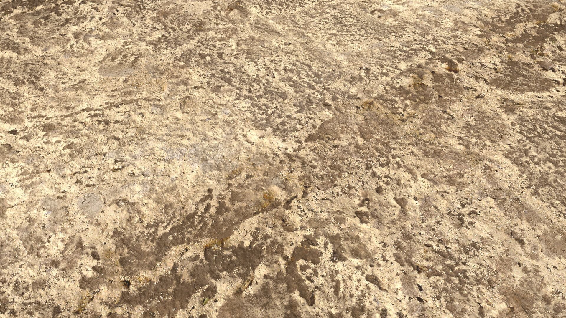Desert Wasteland Ground PBR pack 11 Texture_16