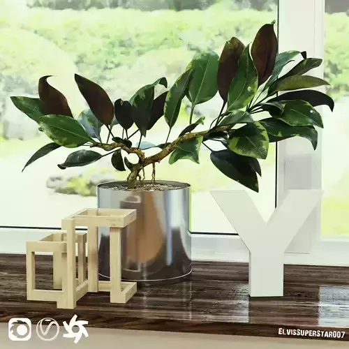 Ficus side table made of wooden cubes