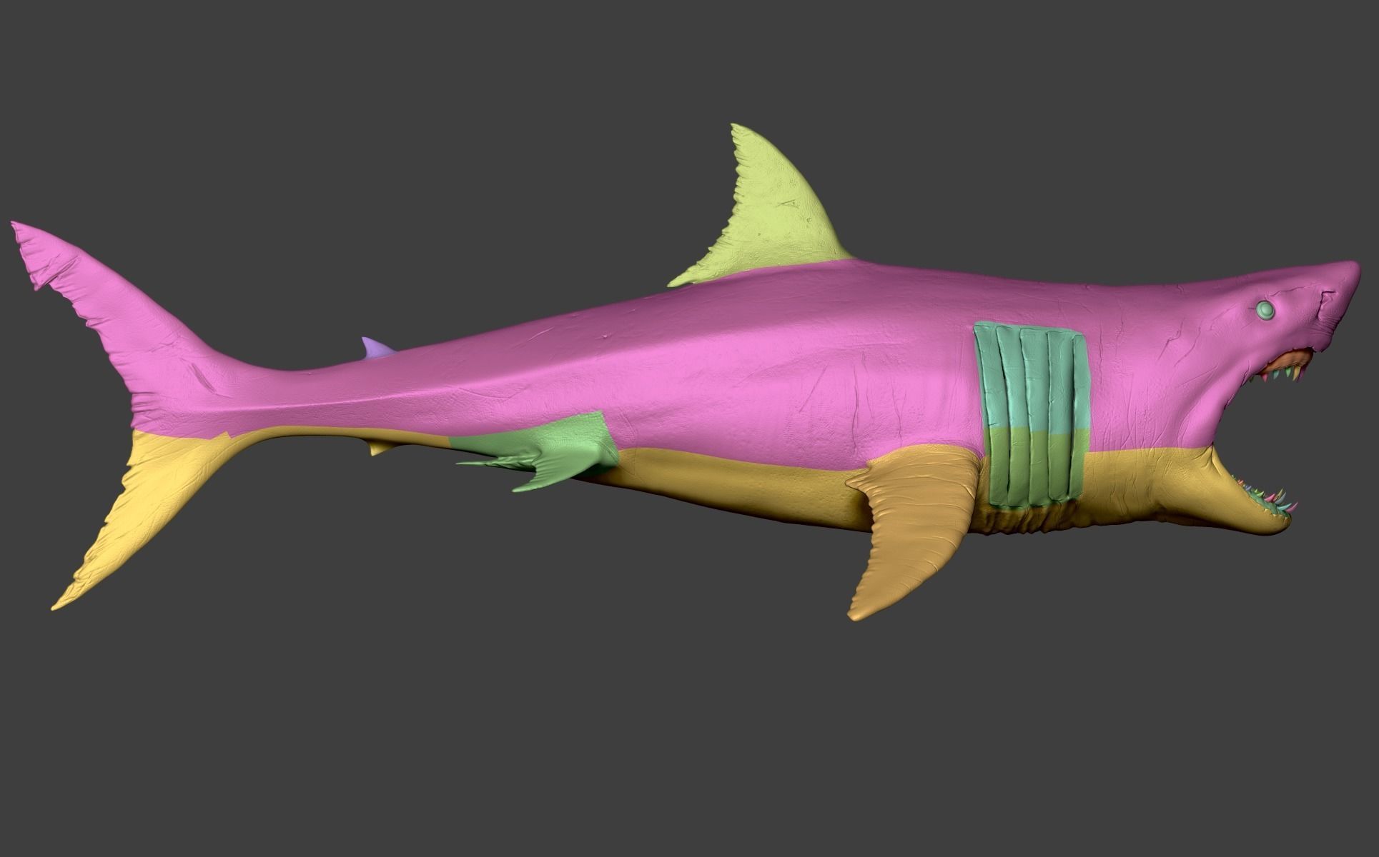 White Shark 3D model_33