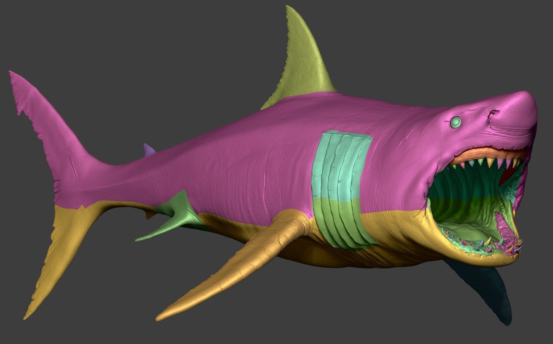 White Shark 3D model_34