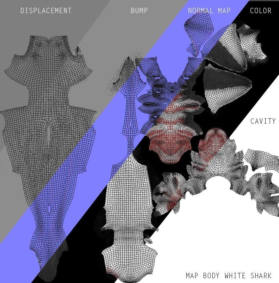 White Shark 3D model_36