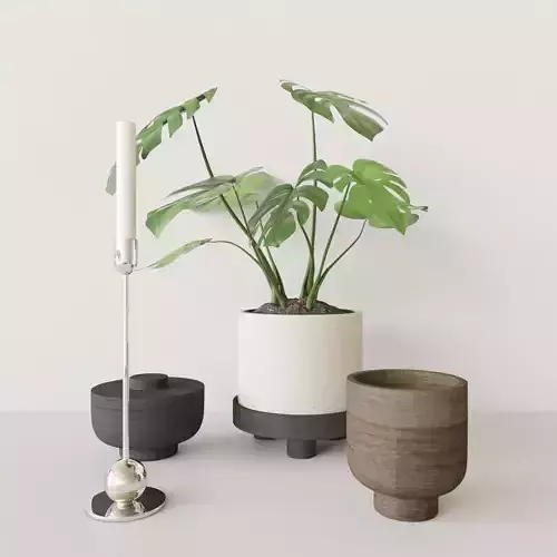 Decorationset Monstera
