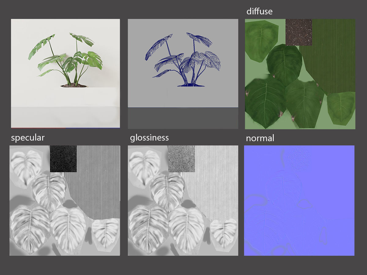 Monster Pot Plant 3D model_3
