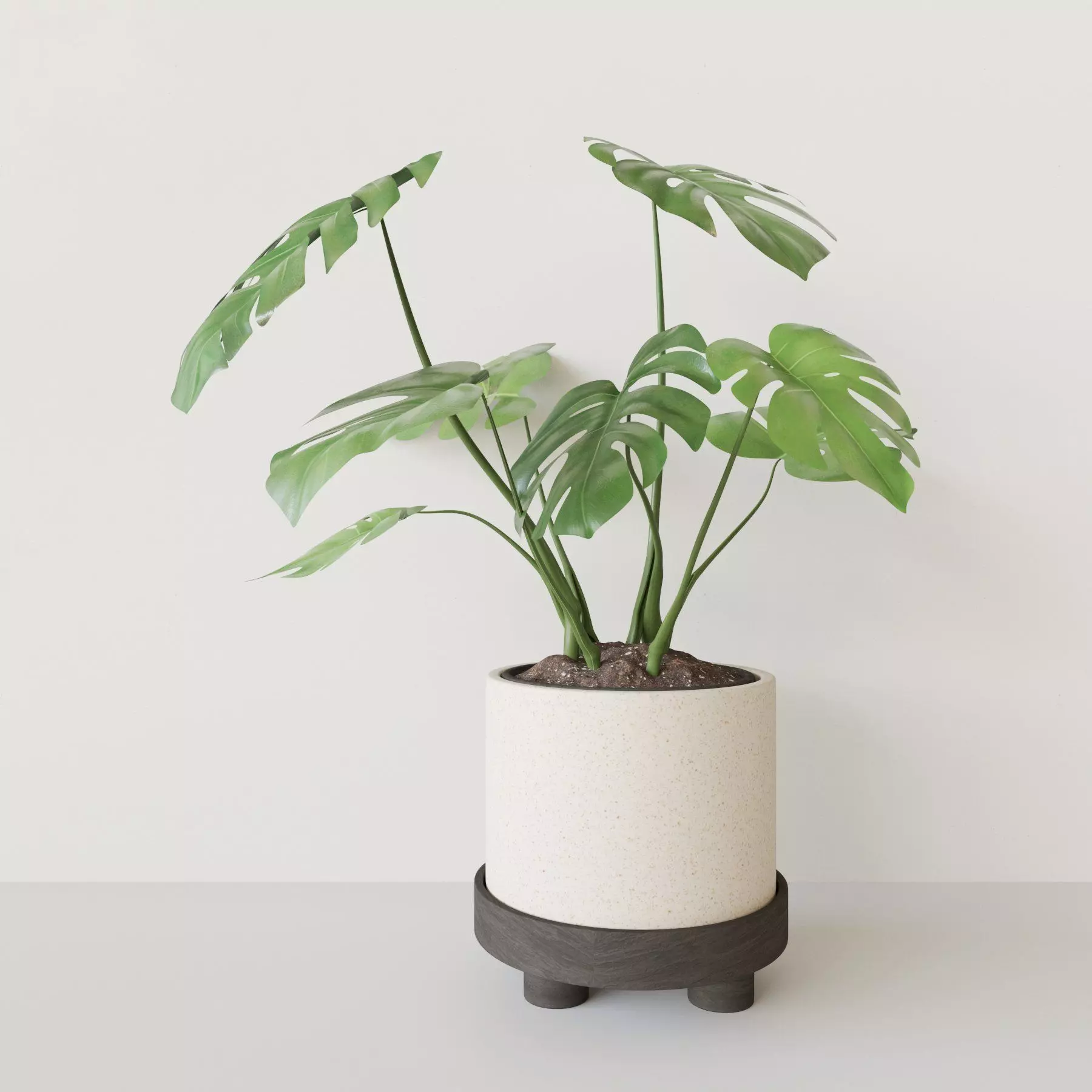 Monster Pot Plant 3D model_0