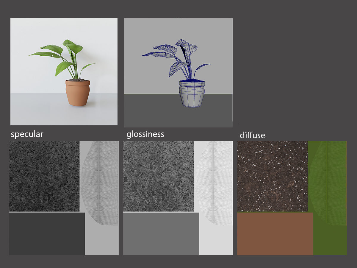 Potted Plant 3D model_4