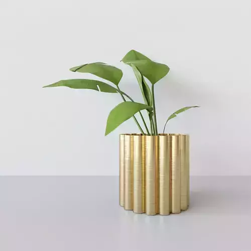 Potted Plant 3D model