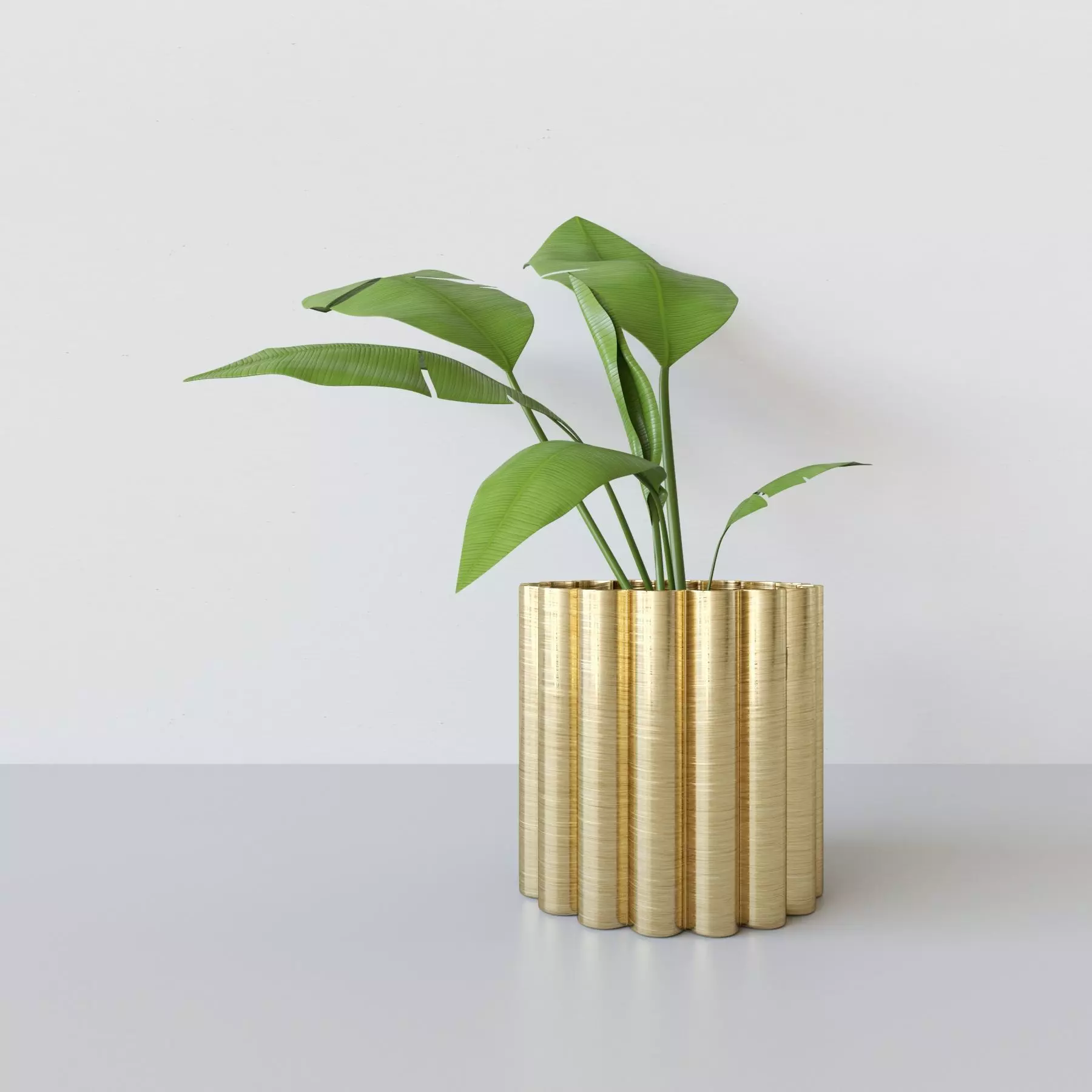 Potted Plant 3D model_0