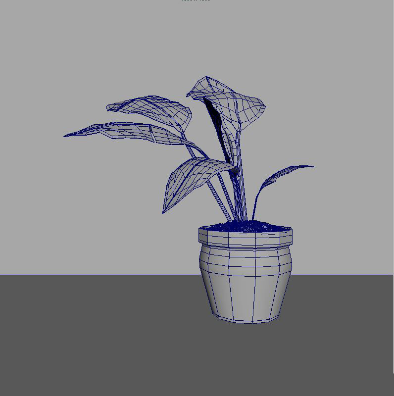 Potted Plant 3D model_3