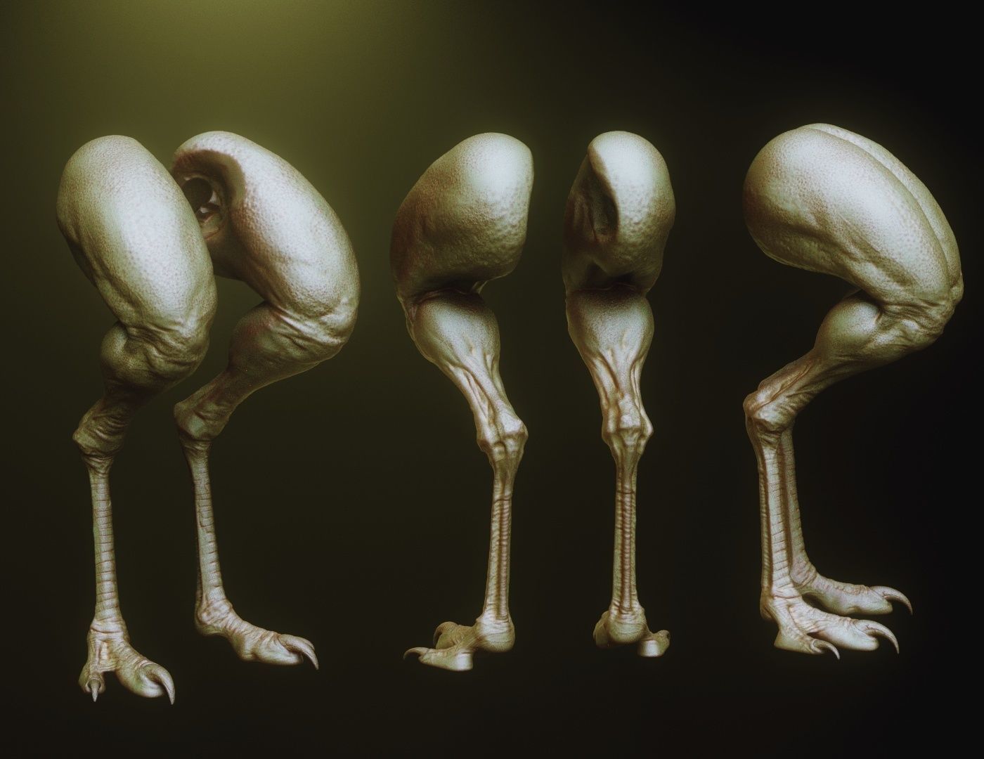 LEGS - 33 Character and Creature Insert meshes plus OBJs 3D model_18