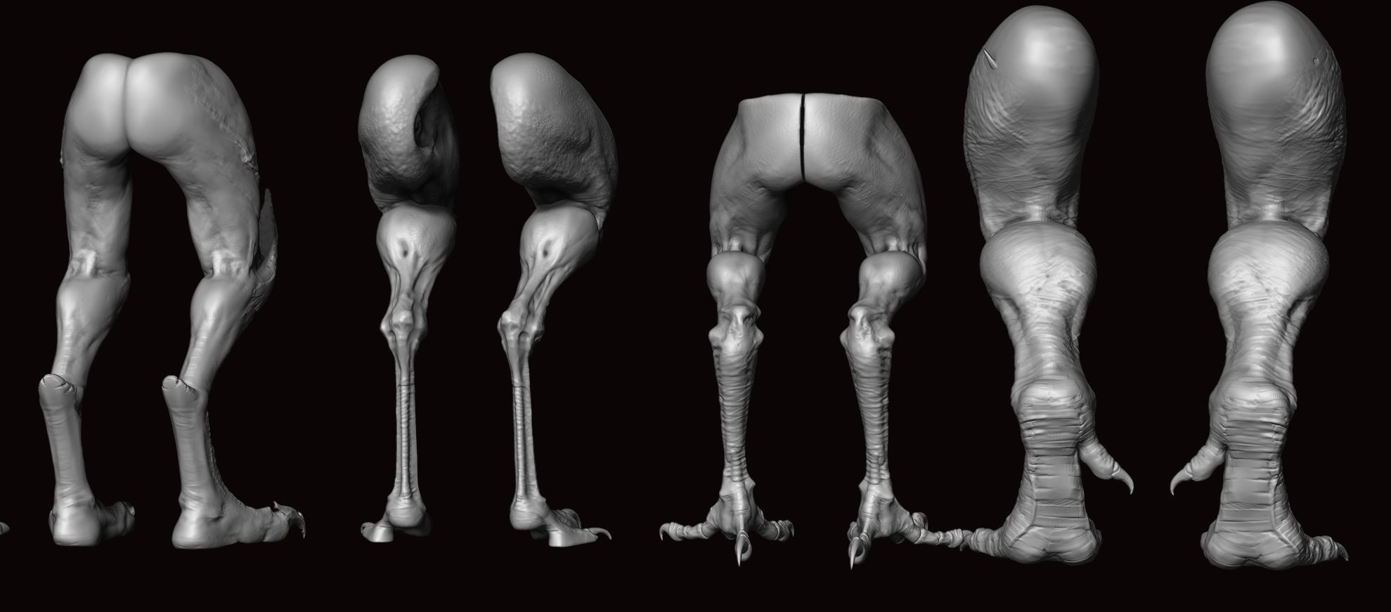 LEGS - 33 Character and Creature Insert meshes plus OBJs 3D model_41