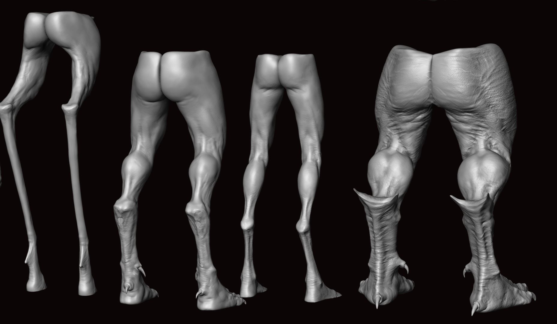 LEGS - 33 Character and Creature Insert meshes plus OBJs 3D model_46