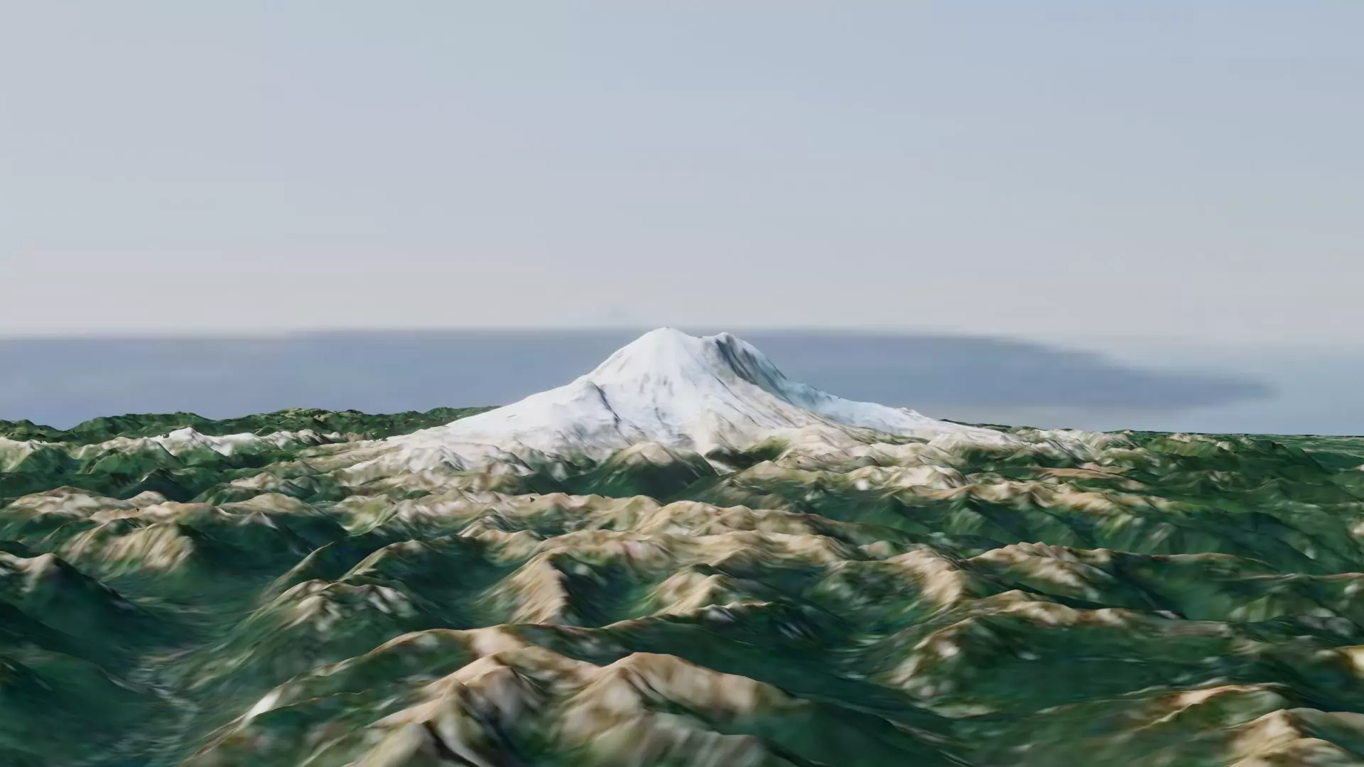 Mount Rainier 3D model_0