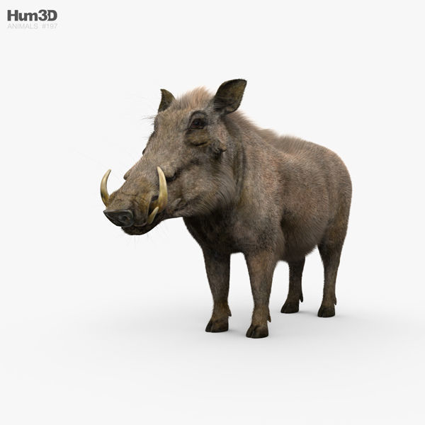 Warthog HD
