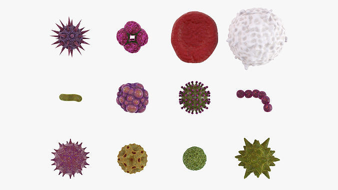Biological Organisms - Blender Eevee Animated Scene Low-poly 3D model