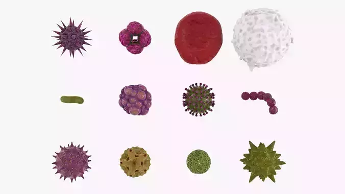 Biological Organisms - Blender Eevee Animated Scene Low-poly 3D model