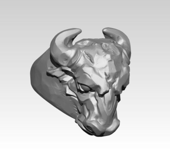 Bull Ring 3D print model_1