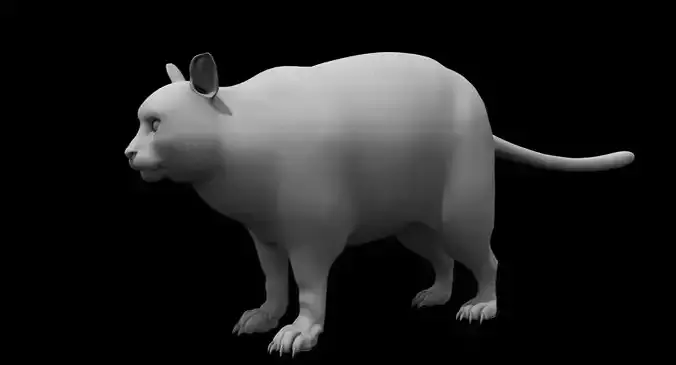 fat cat 3d model