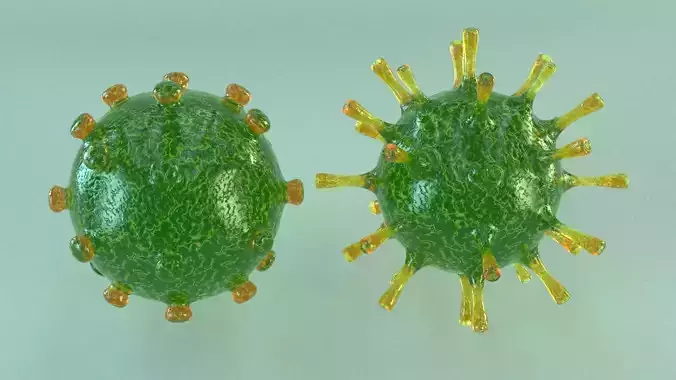 Corona Virus 3D model 3D model