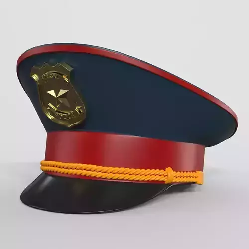Police Hat