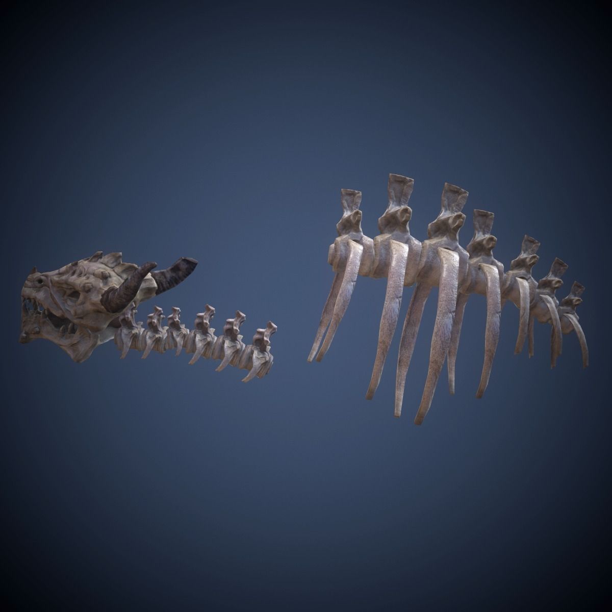 Skeleton dragon Low-poly 3D model_2