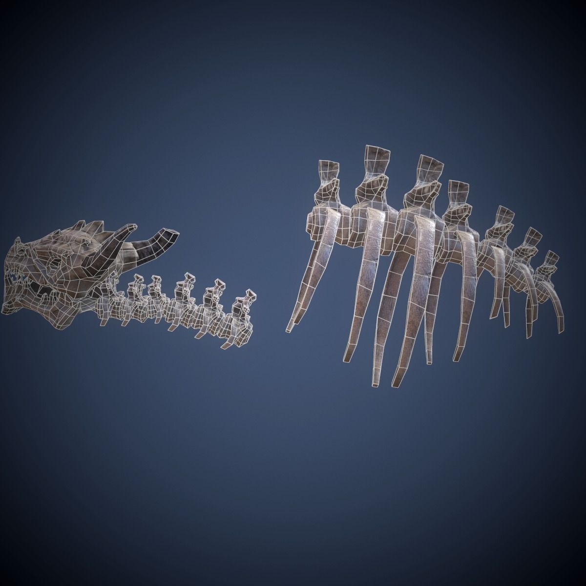 Skeleton dragon Low-poly 3D model_5