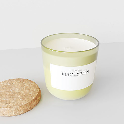 Aroma Candle Eucalyptus 3D model