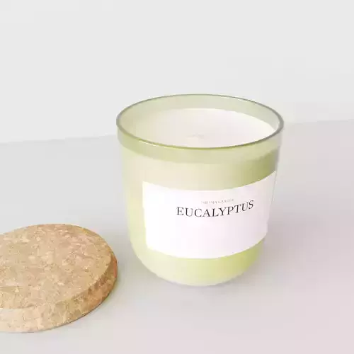 Aroma Candle Eucalyptus 3D model