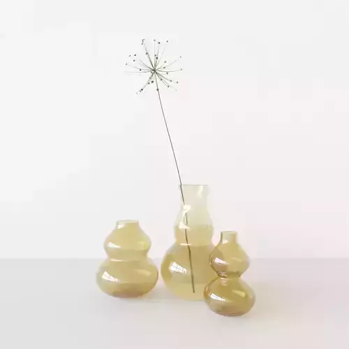 vase dry lilly set 3D model