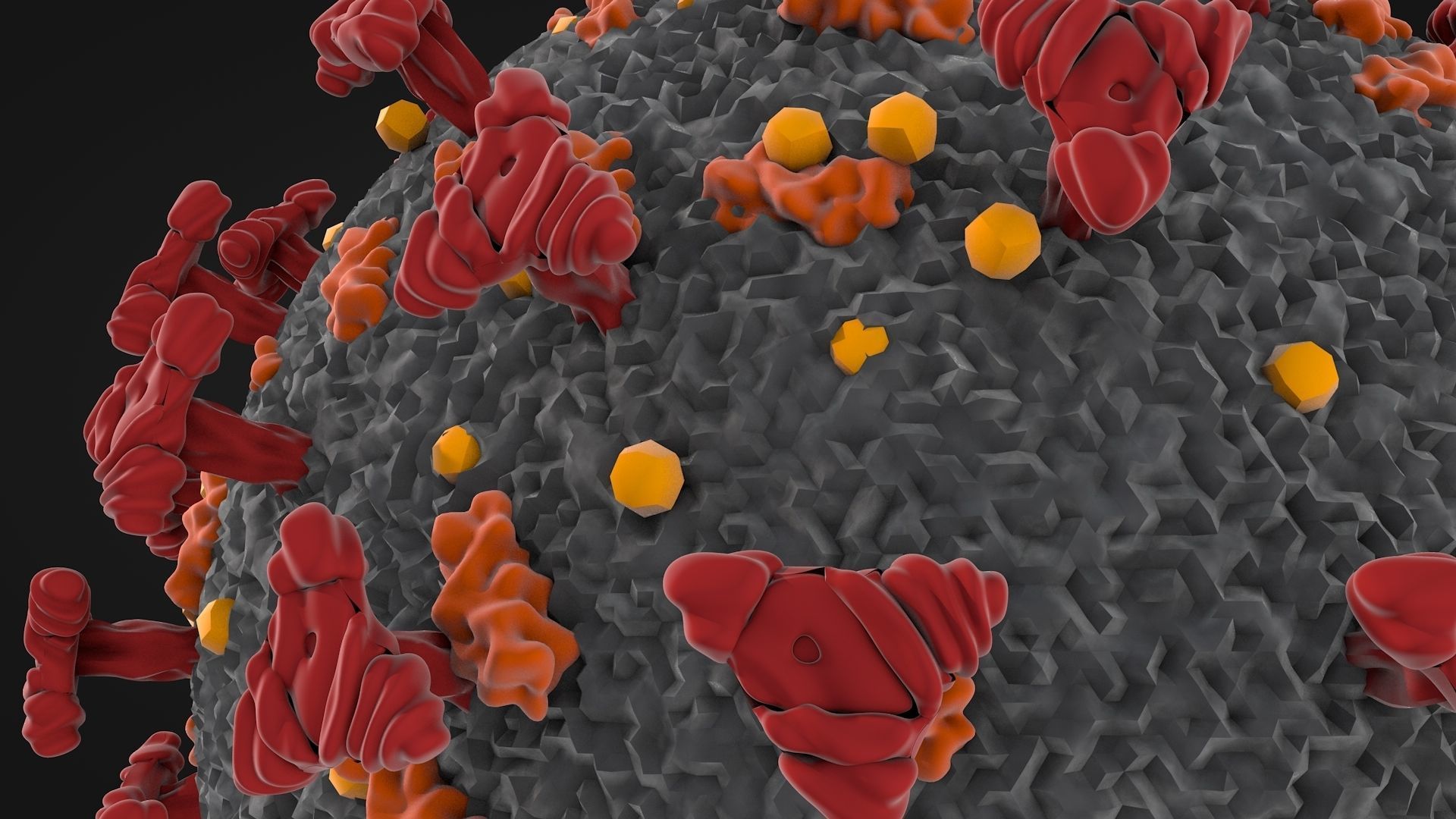Corona Virus - Covid 19 3D model_1