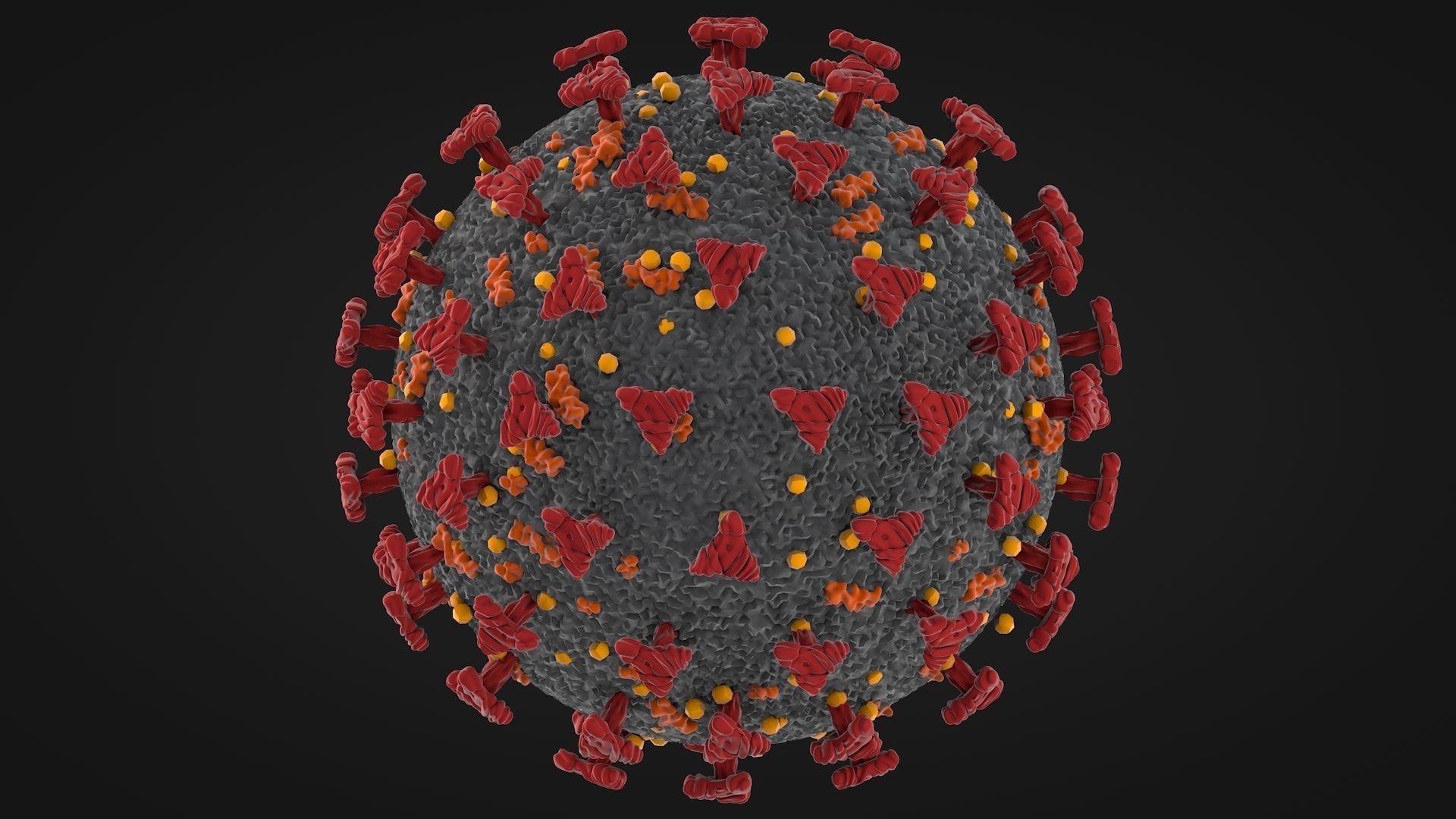 Corona Virus - Covid 19 3D model_4