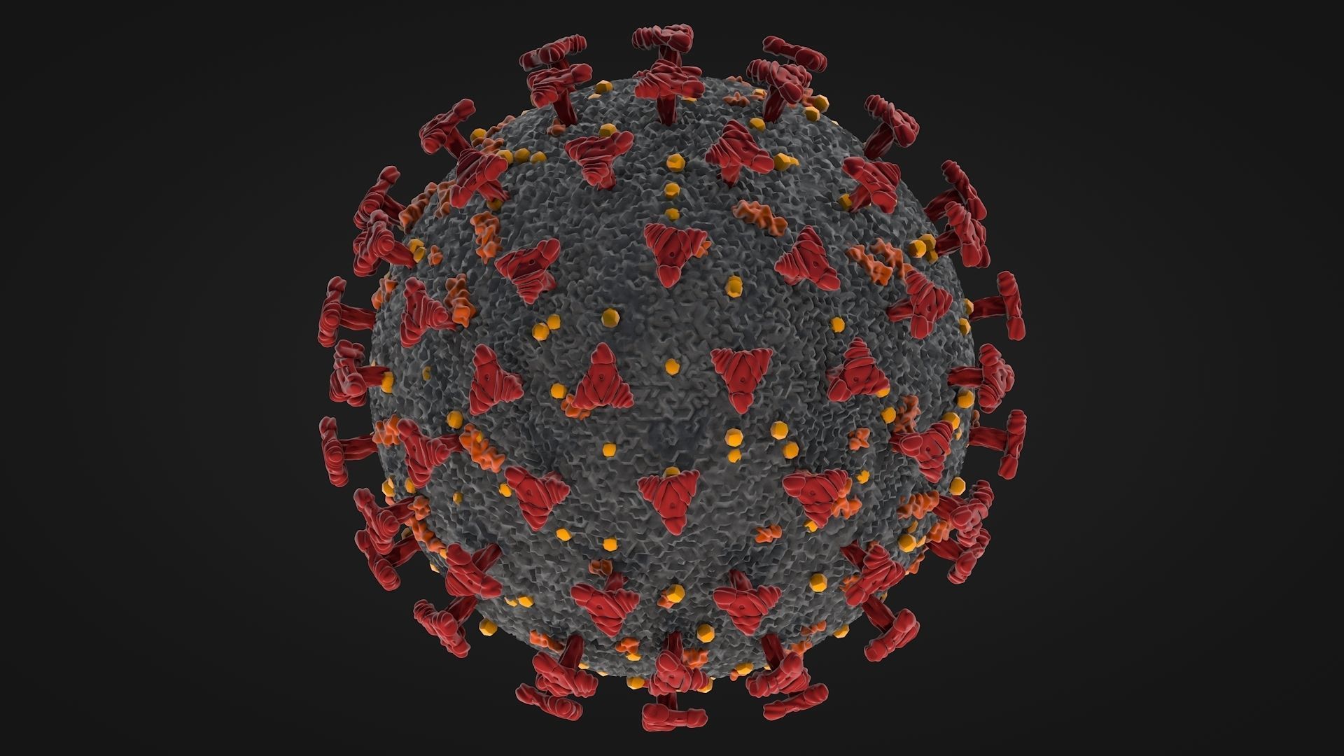 Corona Virus - Covid 19 3D model_6