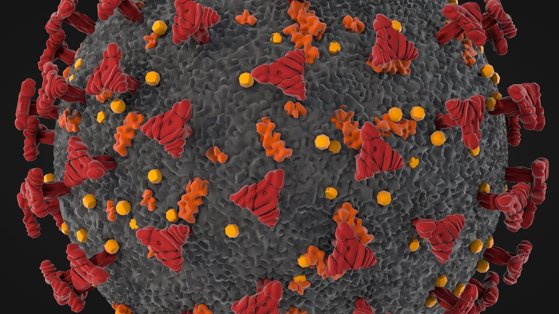 Corona Virus - Covid 19 3D model_2