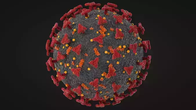 Corona Virus - Covid 19 3D model Corona Virus - Covid 19 3D model