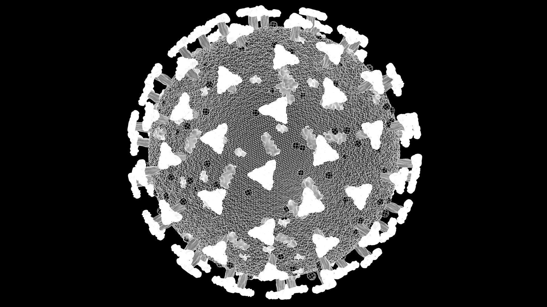 Corona Virus - Covid 19 3D model_8