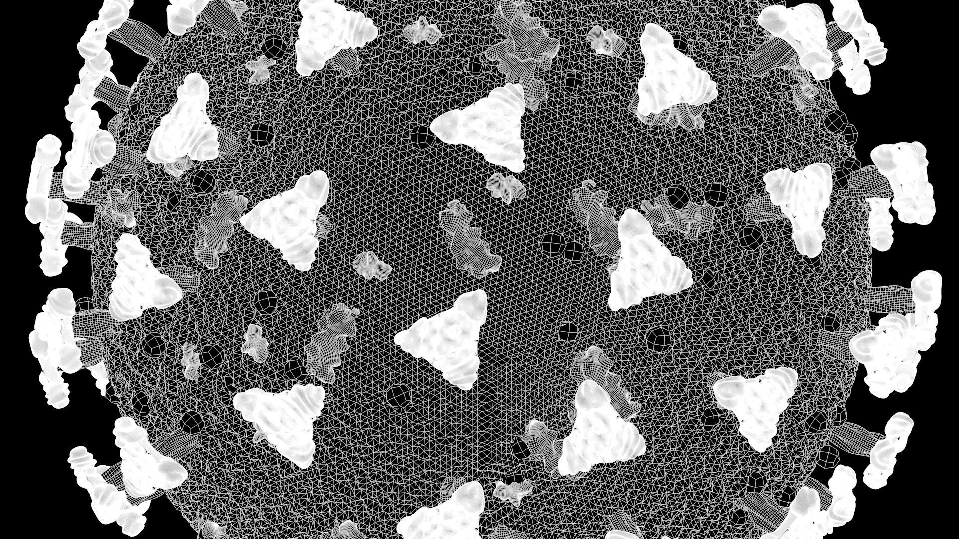 Corona Virus - Covid 19 3D model_7