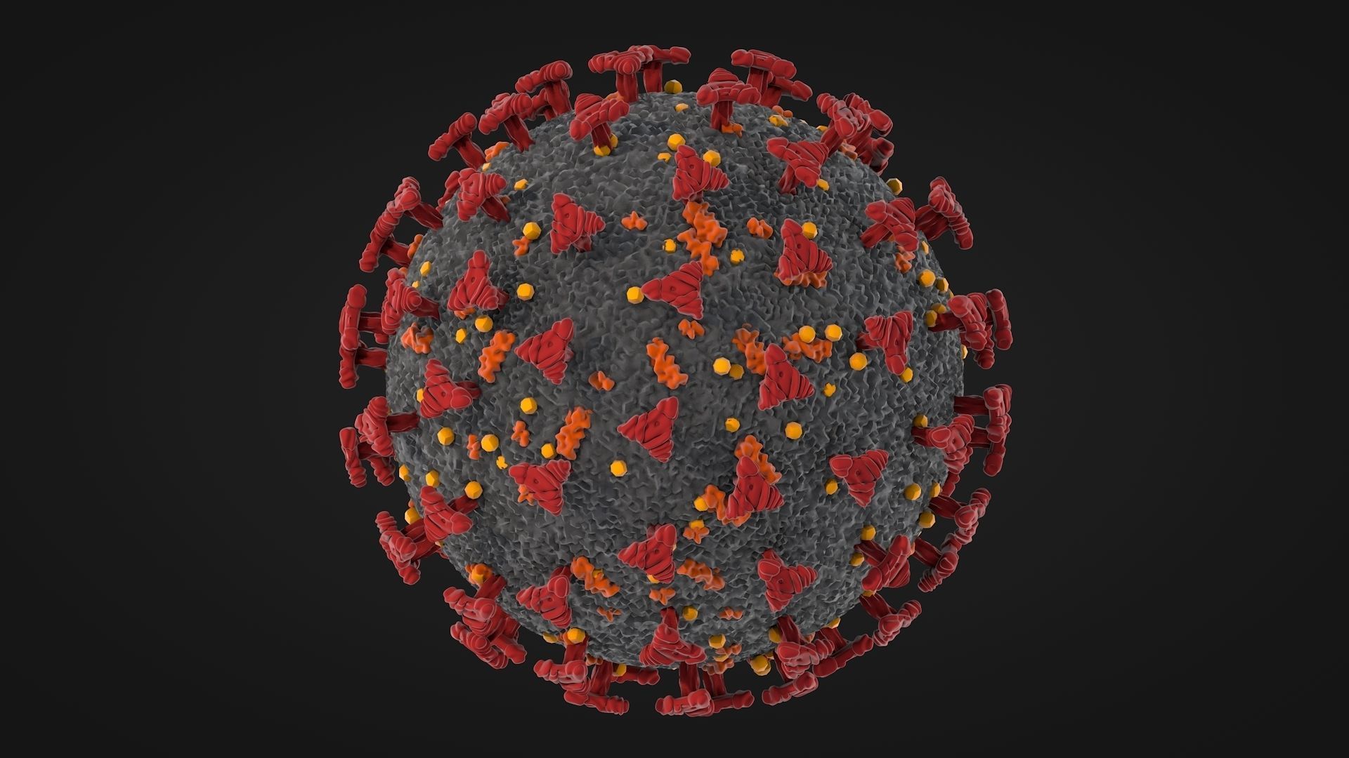 Corona Virus - Covid 19 3D model_3