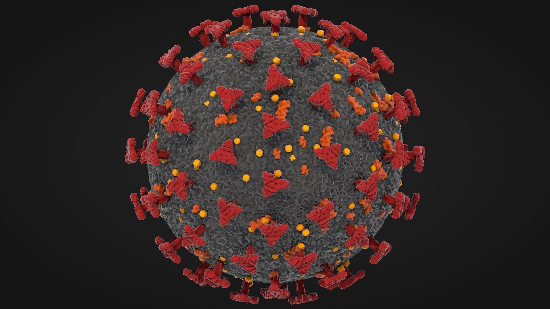 Corona Virus - Covid 19 3D model_5