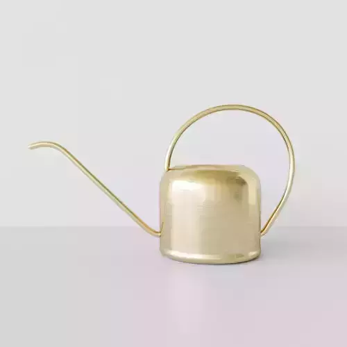 watering can brushed brass