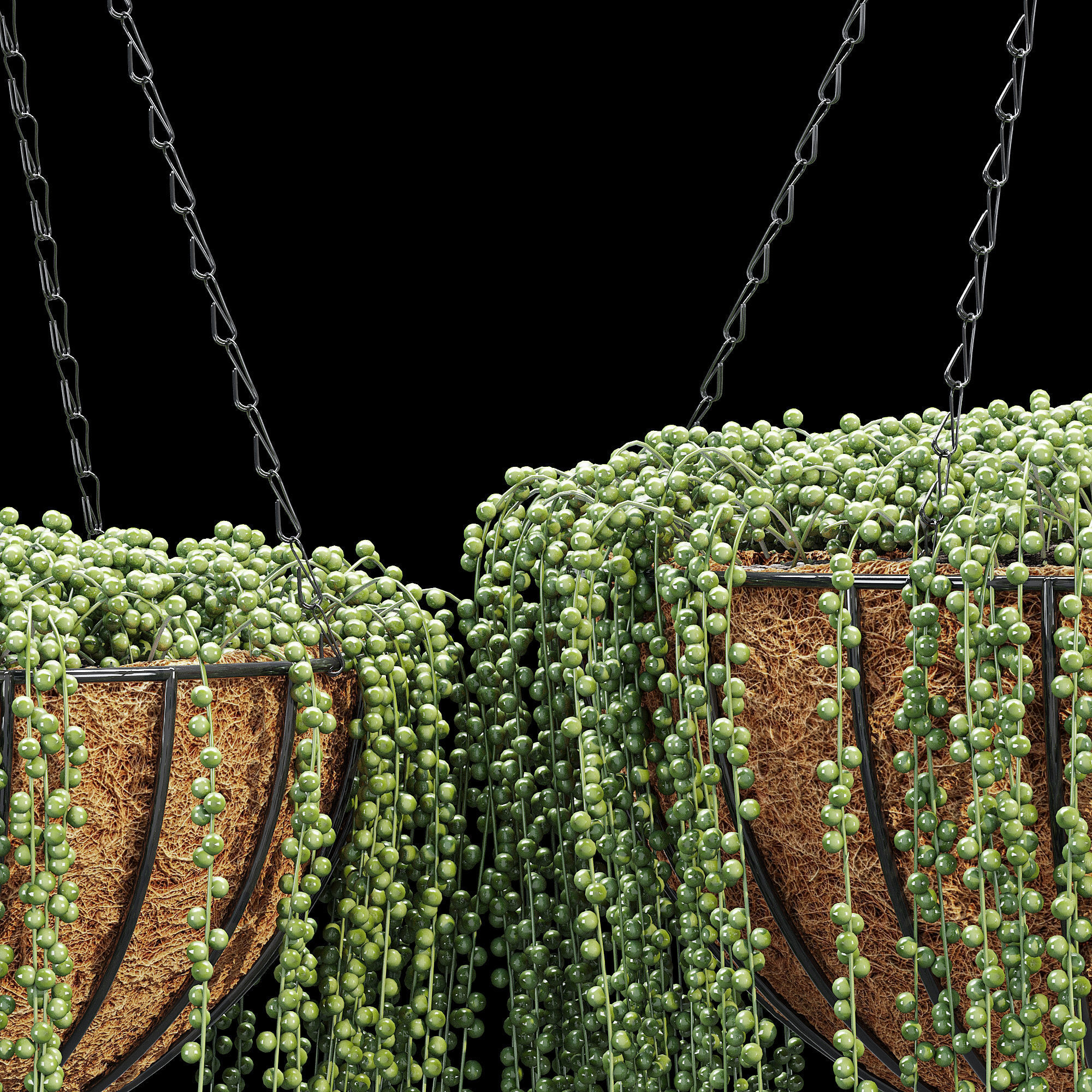 Wire lined 3D model_6