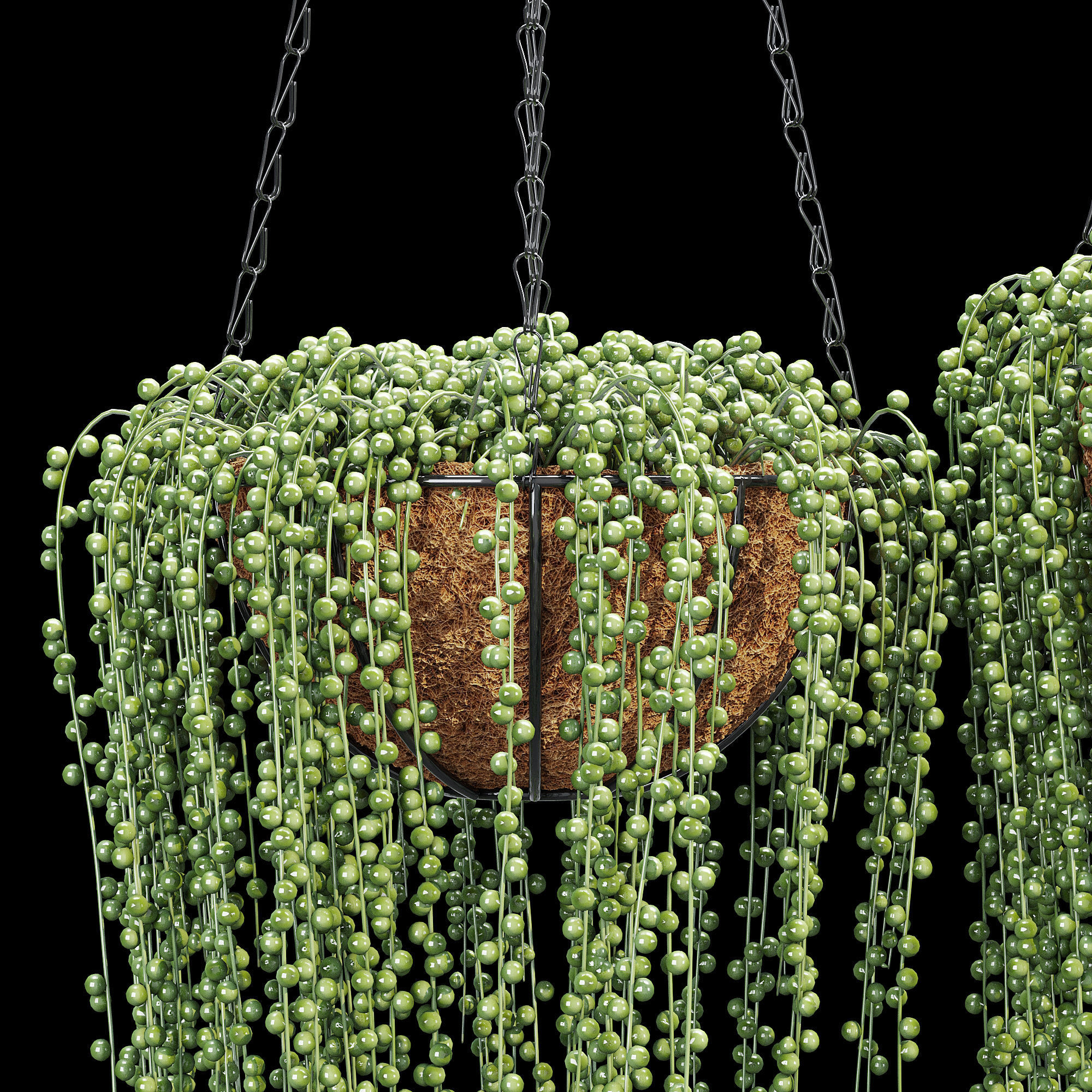 Wire lined 3D model_5