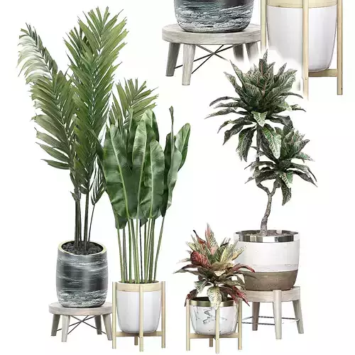 Potted plants Set 42 3D model
