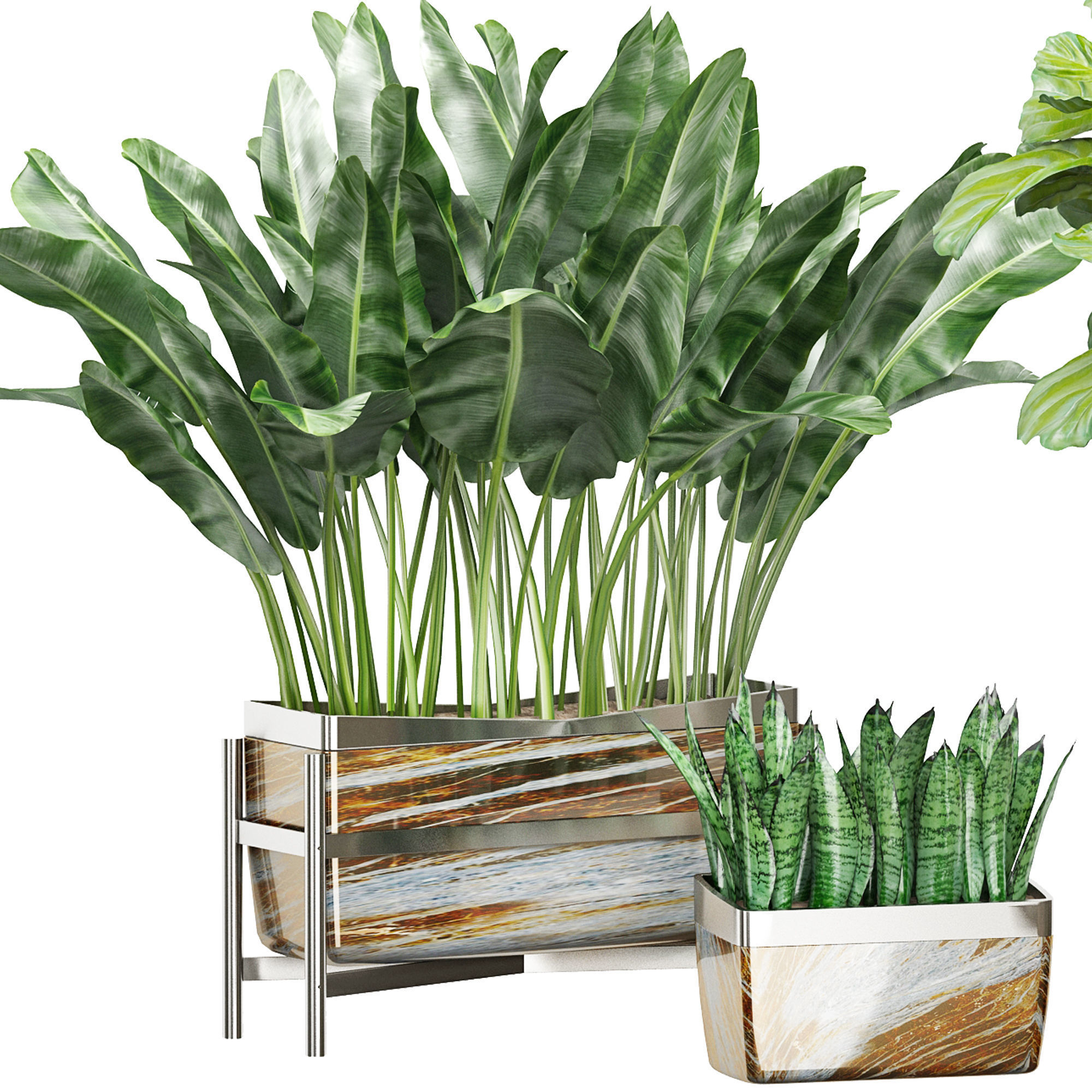 Flower Pack 43 3D model_2