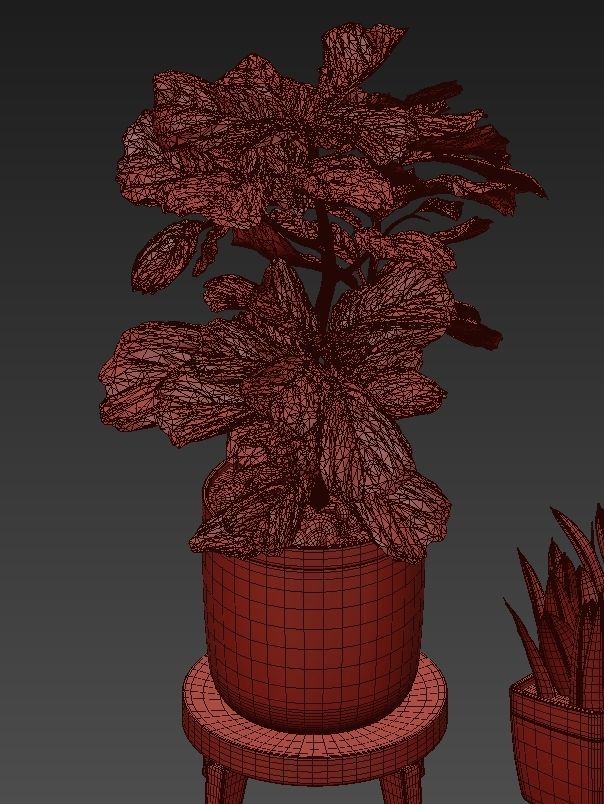Flower Pack 43 3D model_4