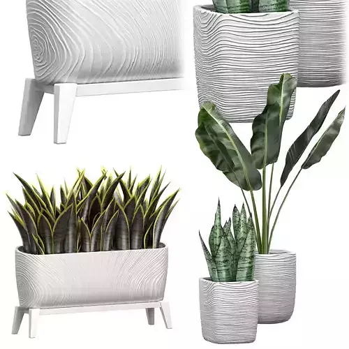 Potted plants Set 44