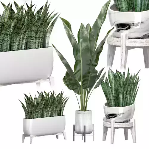 Potted plants Set 45